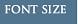 Font Size